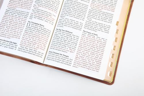 The Barbour Simplified Kjv--Large Print [Rust & Stone Cross] - image 7