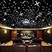 AMKI High Brightness 32W Twinkle 800pcs Fiber Optic Starlight Headliner Kit 0.03in 9.8ft+13.1ft Fiber Strands RGBW Sound Activated APP Remote Control for Car Home Roof Ceiling Decoration