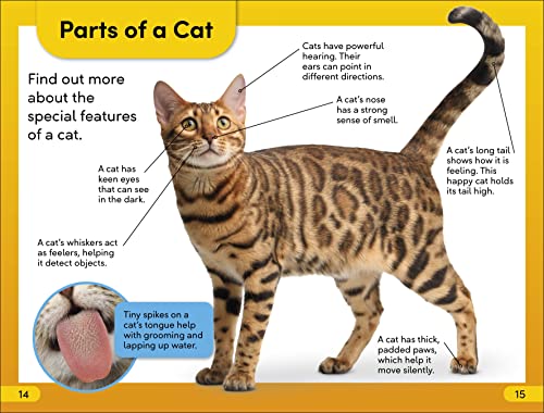 DK Super Readers Level 2 Cats and Kittens