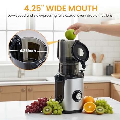 HealSmart Slow Masticating Cold Press Juicer