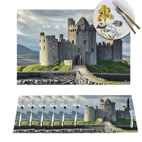 Sets de table lavables en PVC anti-tache pour préserver votre table - 2