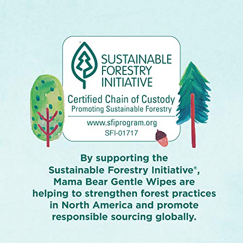 Amazon Brand - Mama Bear Gentle Fragrance Free Baby Wipes, Hypoallergenic, 800 Count (8 Packs Of 100) #TOP4