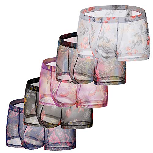 Naturemore Men's Sexy Low Rise Underwear Ice Silk Boxer Brief Sexy See-Through Transparent Briefs