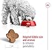 Royal Canin Mini Adult 8+ | 4 kg | Alleinfuttermittel für kleine Hunde (bis 10 kg) | Ab dem 8. Lebensjahr | Kann zur Unterstützung der Vitalität beitragen
