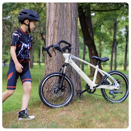 GrdMis�}�E���e���o�C�N 8�΁`12��20�C���` 22�C���` MTB ���]�� �f�B�X�N�u���[�L �����Y�f�|�t���[�� �r��z�� �ʋ� �ʊw�̏��N���������q���p�A���E��^�q���p�ϑ����[�h���[�X (�p�[���z���C�g + �T�X�y���V�����t�H�[�N,22�C���`)