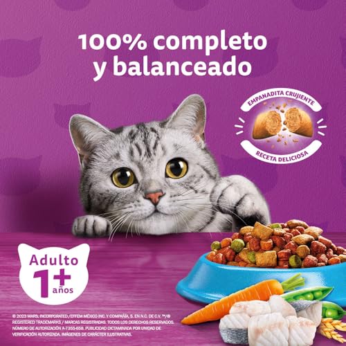 Recopilación de Whiskas gato favoritos de las personas. 24 Imagen adicional