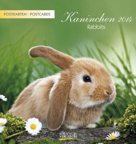 Kaninchen 2014 Postkartenkalender