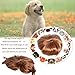 Dog Wig Pet Costumes, Cat Costume Synthetic Accessories Small Dog Headwear for Halloween Christmas Eve Festival Party Decor, Head Wear Apparel Toy (A)