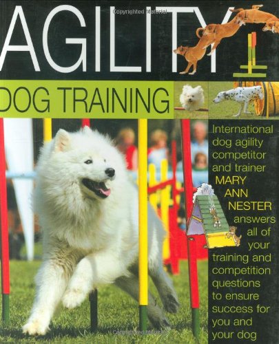 Agility Dog Training