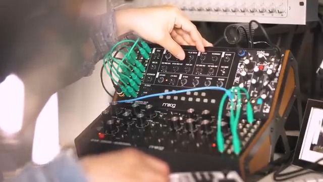 Amazon.com: MOOG Mavis - Standalone Semi-Modular Analog