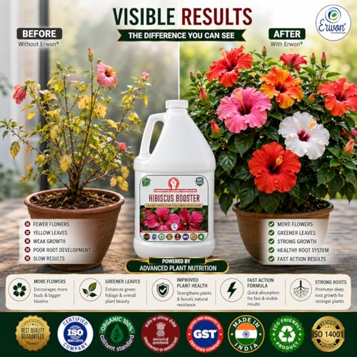 Image of Erwon Hibiscus Booster, Premium Essential Powerful Liquid Fertilizer for the Best Growth of Hibiscus Plants with Flowering Nutrients and Charged Micro-organism (1000 ml)