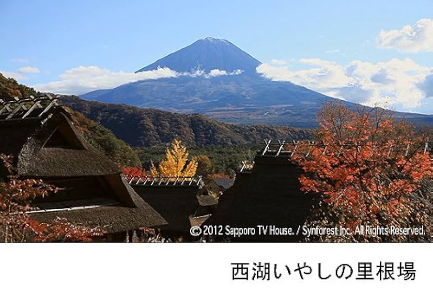 シンフォレストDVD 富士山百景 自宅で愉しむ「ベスト・オブ・富士山」Mt.Fuji-The Best and Most Beautiful Moment Amazon.co.jp: シンフォレストDVD 富士山百景 自宅で愉しむ