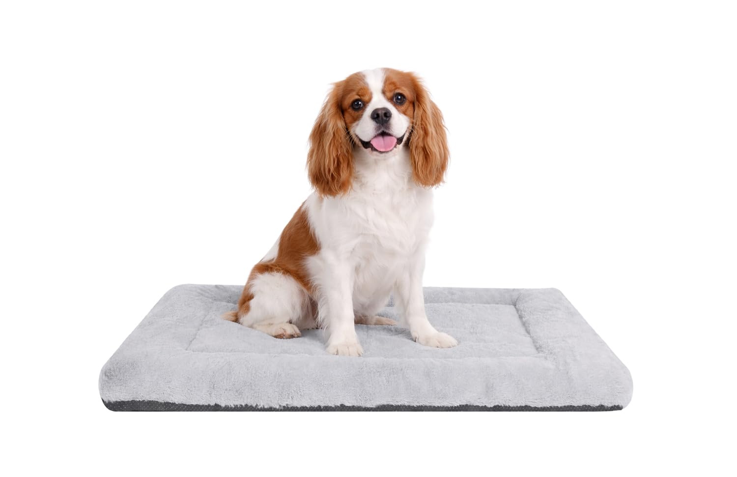 Lit pour chien S gris 61x45 cm tapis lavable pour cage de transport