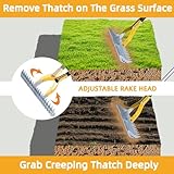 KLDOLLAR Thatch Rake 15 Inch Wide Efficient Dethatcher Rake for Cleaning Dead Grass, Combs Turf & Loosens Soil, Steel Metal Grass Rakes with Stainless Steel Handle Versatile Leveler &Cleans for Garden