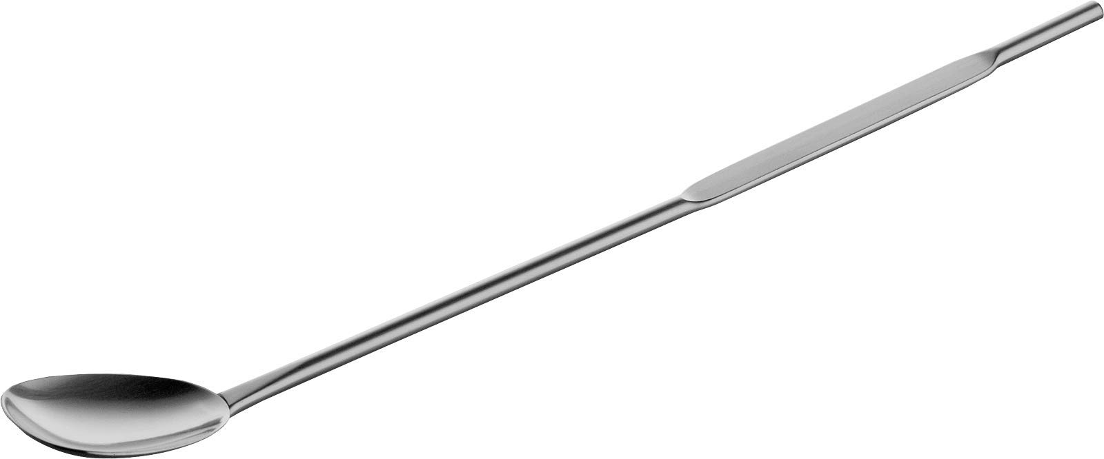 Carl Mertens Bar Spoon