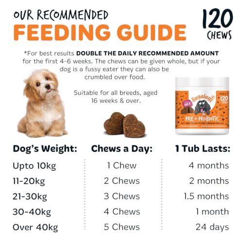 Bugalugs Probiotics for Dogs Natural Dog Treats with Pumpkin Powder for dogs – Gut Health, Sensitive Tums, Anal Glands, Scooting, Loose Stools, Smelly, Itchy Ears, Great for all dogs - Image 6