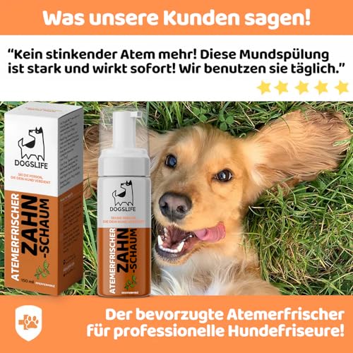 Atem-Erfrischer für Hunde | Pfefferminz Mundspülung | Sicherer Zahnschaum | Gegen Mundgeruch | 150ml Dental Spray für alle Hunde | It's A Dogs Life