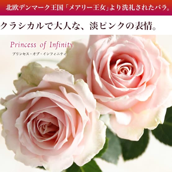 Amazon.co.jp: プリンセス・オブ・インフィニティ ミニバラ