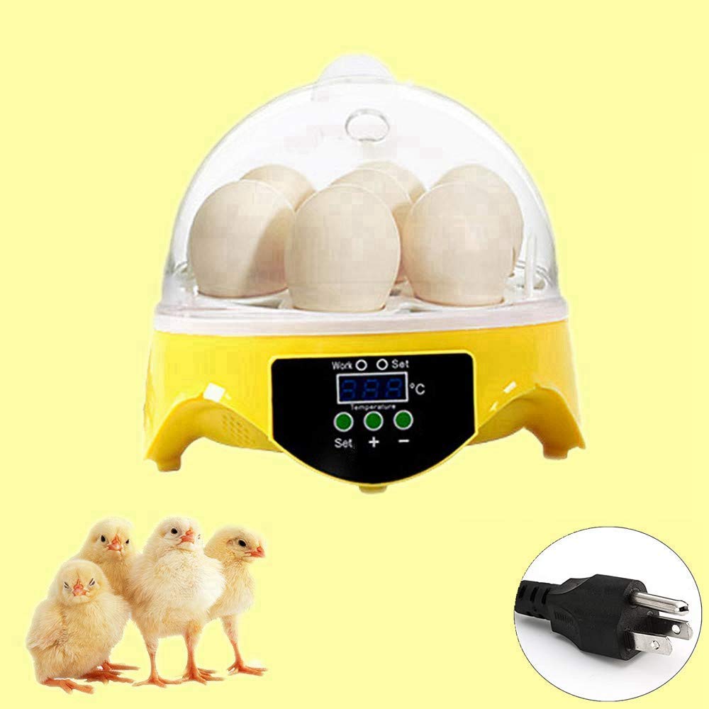Incubateur numérique 7 oeufs avec tourneur automatique et vue LED