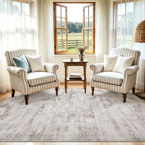 Image of 2'x3' Rugs for Living Room Bedroom, Washable Area Rugs, Pet & Kid Friendly Low Pile Carpet, Non-Shedding Non-Slip TPE Backing, Vintage Distressed Print Floor Mat for Bedroom Dining Room, Brown