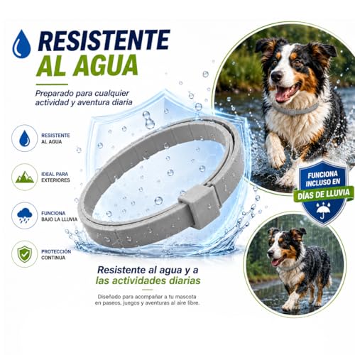 Miniatura 5 de Tempotech Collar Antiparasaitario Perro - 8 Meses De Protección - Contra Pulgas Garrapatas Mosquitos Ácaros Y Piojos - 100 Natural 1 Unidad 70 Cm