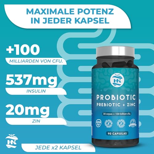 Intestinale Probiotika und Präbiotika 100 Milliarden CFU-30 Bakterienstämme probiotika darmsanierung mit Zink + Inulin zur Unterstützung des Immunsystems Probiotika für die Darmflora Aufbau (90) – Bild 3