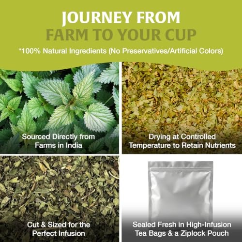 Image of HANDPICK Nettle Leaf Tea (40 Tea Bags) 100% Pure Leaf Tea, No Additives