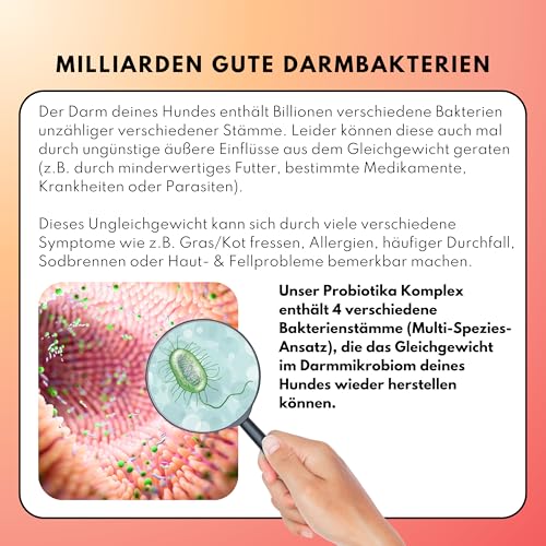 People who Kaer Probiotika Hund – 4-Stämme Komplex zum Darmflora Aufbau & Darmsanierung – Synbiotikum Drops bei Verdauungsstörungen & Allergien – Unterstützt Immunsystem & Verdauung (60 Stück)