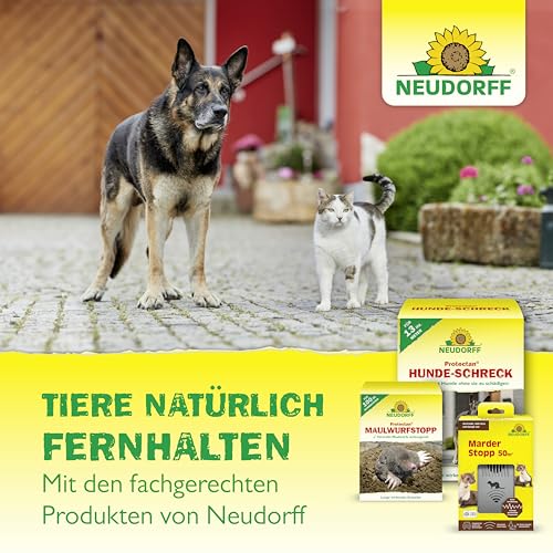 Neudorff Protectan Marder-Schreck – Vertreibt langanhaltend Marder und Nagetiere auf Dachböden, in Schuppen und Garagen für bis zu 7 Wochen, 200 g