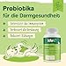 Ida Plus Darmbiotic Pulver – Probiotika zur Darmsanierung für den Hund + Präbiotika - Darmflora aufbauen nach Durchfall - gesunde aktive Darmbakterien – Immunsystem – Regulierung Verdauung – 180g