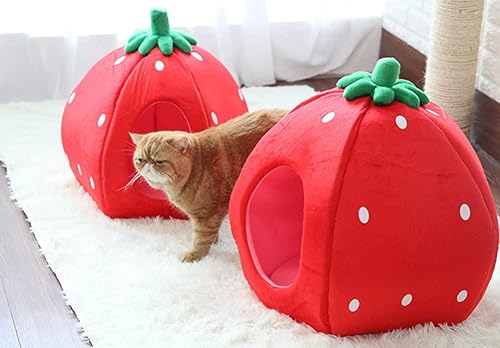 Yml Strawberry Pet Bed House, Medium, Red, (Fh016_2) #TOP5