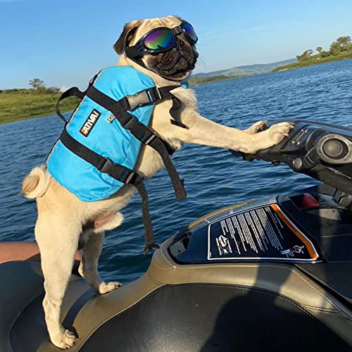 Colete Salva Vidas Pet Vest Ativa Tam G Azul