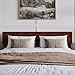 AFI Orlando Modern Solid Wood Headboard, Queen, Walnut