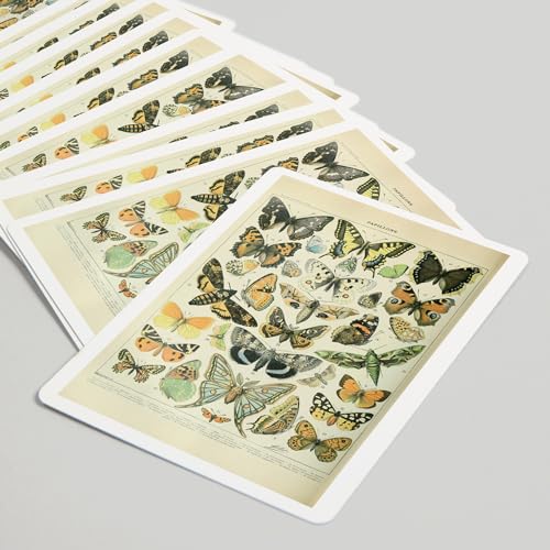 Lantern Press Butterflies, 52 Cartas Póker Vintage miniatura 5