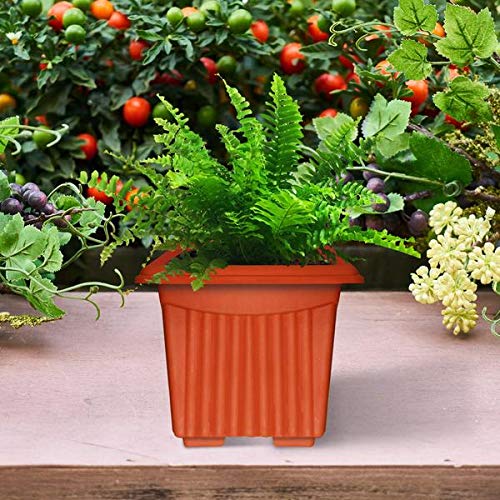 TrustBasket UV Treated Square Plastic Planter (8 inches) - Terracotta Color - Set of 3 | Heavy Duty Highly Durable Plant Container Gamla for Indoor Home Decor & Outdoor Balcony Garden