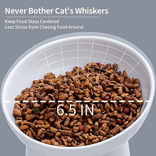 6.5 Inch Extra Wide Ceramic Raised Cat Bowls, Upgraded Enlarged Porcelain Tilted Elevated Cat Food Water Bowl Dish, Stress Free Pet Feeder Bowls Dishes For Elder Big Cats & Small Dogs, White - 2 Pack #TOP2