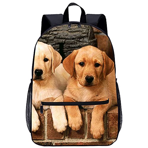 Mochila de ocio urbana inspirada en perro animal ideal para el viaje escolar