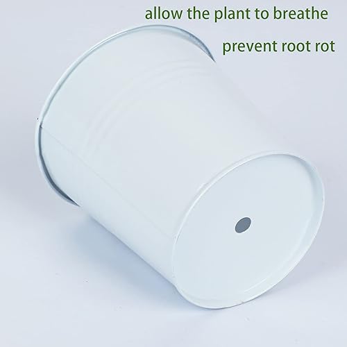 Miniatura 3 de Opexscal Macetas de hierbas de granja con juego de bandeja, macetas de jardín de hierbas para interiores, macetas de hierbas para plantas vivas de