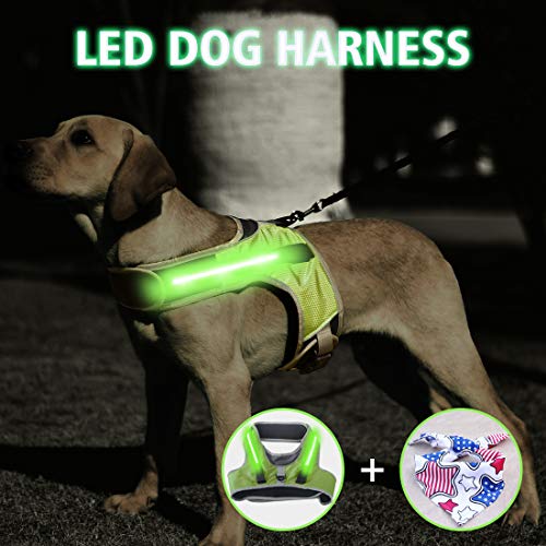Wooruy LED Dog Harness,LED Dog Vest Harness with 3 Flashing Modes Battery Replaceable,No
