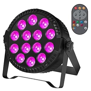 1 LED Par 14 LED Spot de scène RGB DMX512 8 x 10 W 4 en 1 avec télécommande Dda Disco Light For Stage DJ Party Shows Bar Halloween Christmas