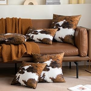   urban country home decor