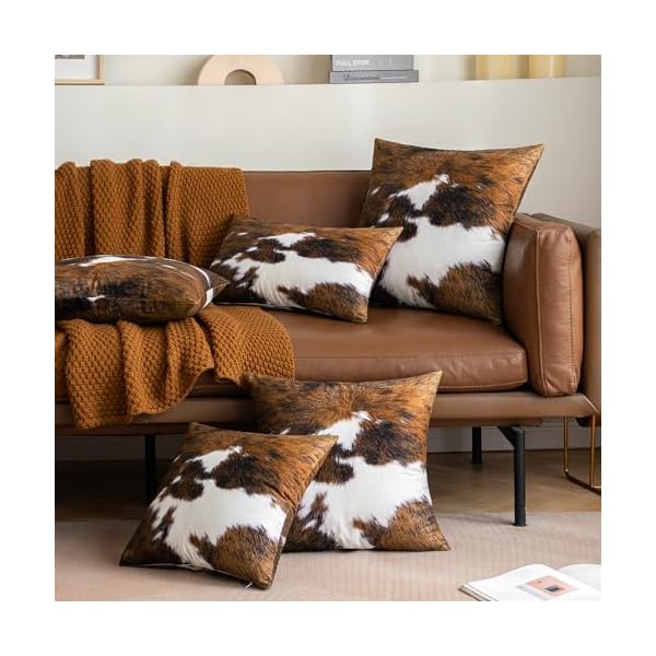   urban country home decor