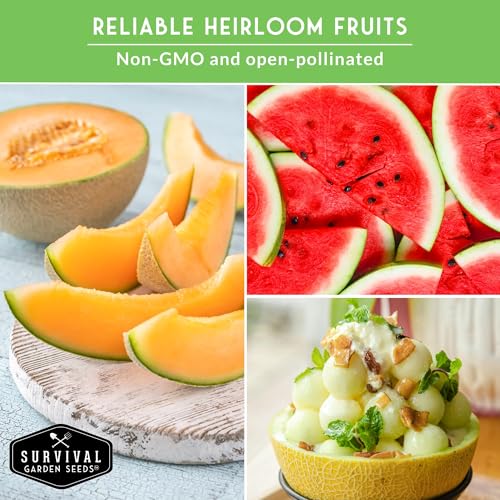 Melon Seeds for Planting, 6-Variety Pack Heirloom Fruit Collection - Image 5