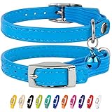 CollarDirect Leather Cat Collar, Cat Safety Collar with Elastic Strap, Kitten Collar for Cat with Bell Black Blue Red Orange Lime Green (Neck Fit 9'-11', Light Blue)