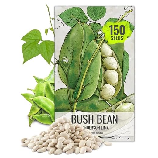 Can you grow lima beans from the store? 10 Seed Needs, Henderson Lima Bush Bean (Phaseolus vulgaris) Bulk Package of 150 Seeds Non-GMO
