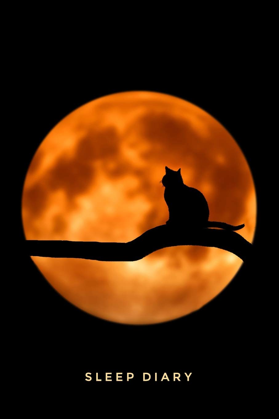 Sleep Diary Full Moon Cat