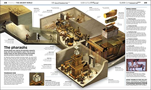 Knowledge Encyclopedia (Updated and Enlarged Edition): The World as You've Never Seen It Before (DK Knowledge Encyclopedias) - Image 12