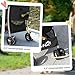 PawHut Hundewagen, 2 in 1 Hundetrolley, Tragetasche, Faltbarer Hundebuggy mit Kissen, Katzenwagen für kleine Hunde, Katzen, Katzenbuggy mit 4 Rädern, Netzfenster, Oxfordstoff, Schwarz