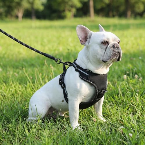 Image of Amazon Basics No-Pull Dog Harness, Soft Padded Adjustable Vest with Reflective Stripes, Sturdy, Small, Black