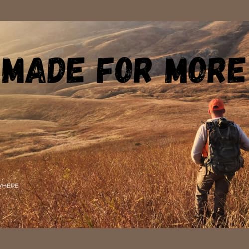 『I Was Made For More...But What?』のカバーアート